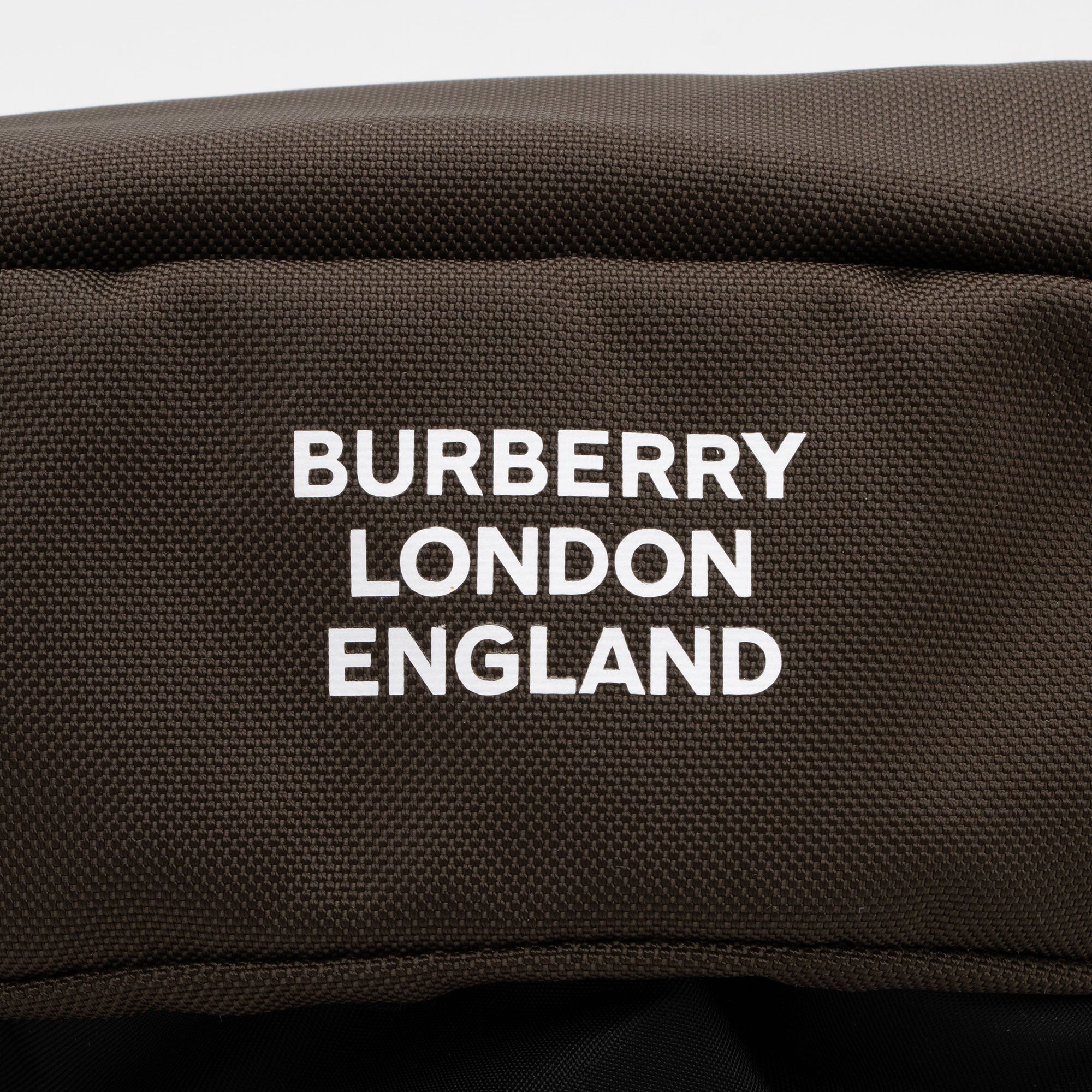 Burberry Nylon Leo Medium Sling Bag (SHF-VOG04R)