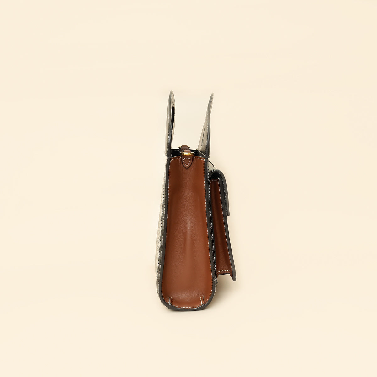 Burberry Tricolor Pocket Mini Bag