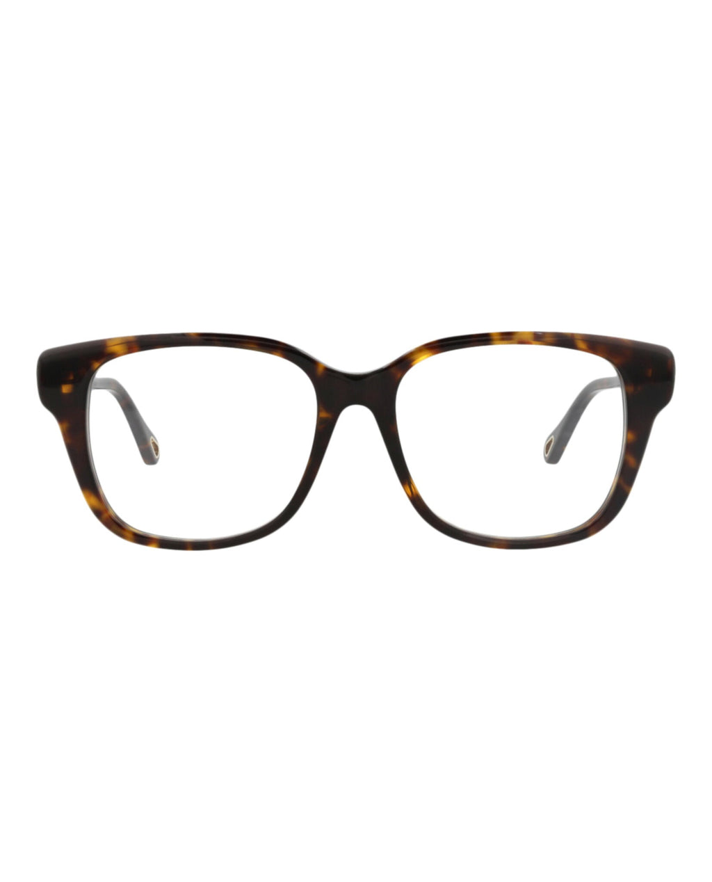 Chloé Womens Square/Rectangle Havana Havana Transparent Fashion Designer Eyewear
