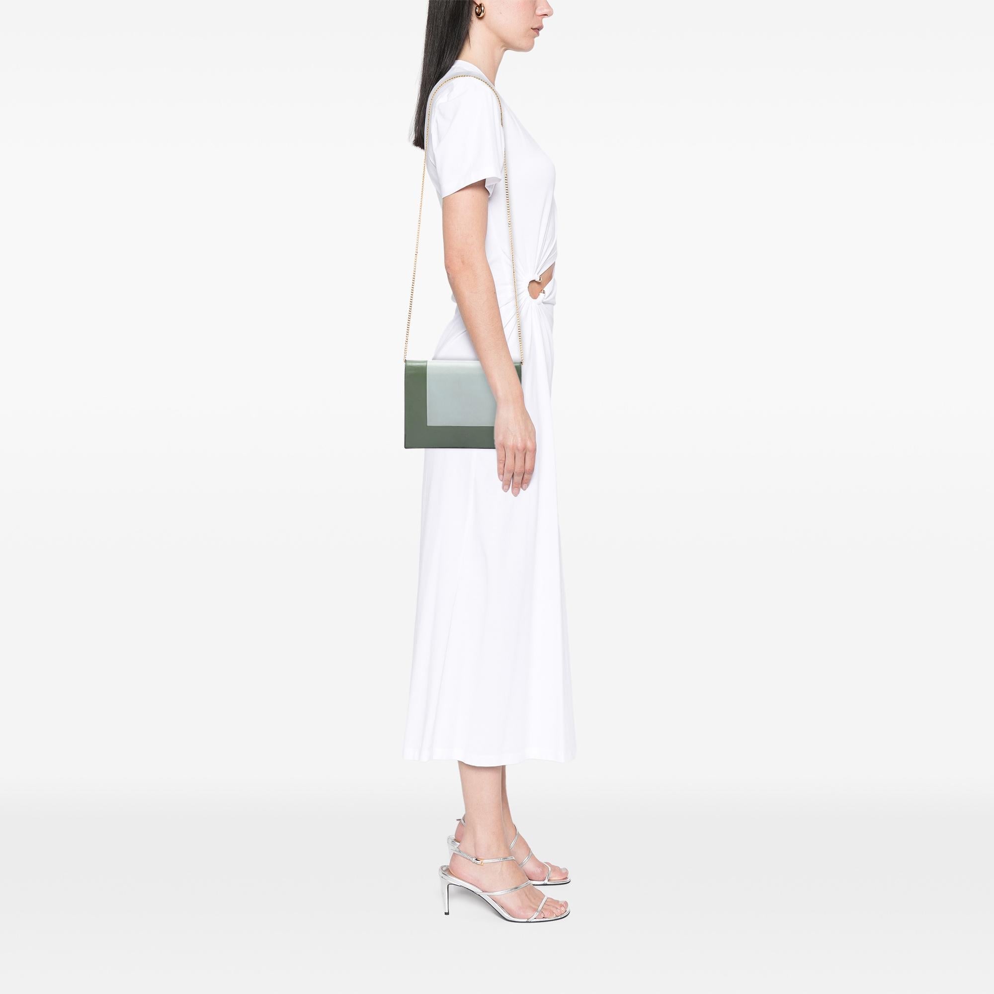Celine Bicolor Leather Frame Wallet on Chain