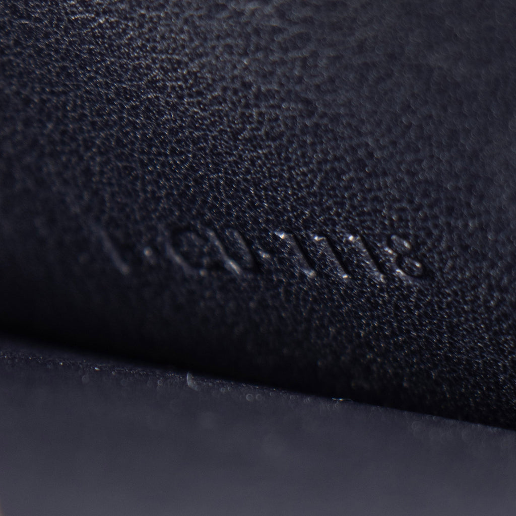 Celine Calfskin Frame Medium Shoulder Bag