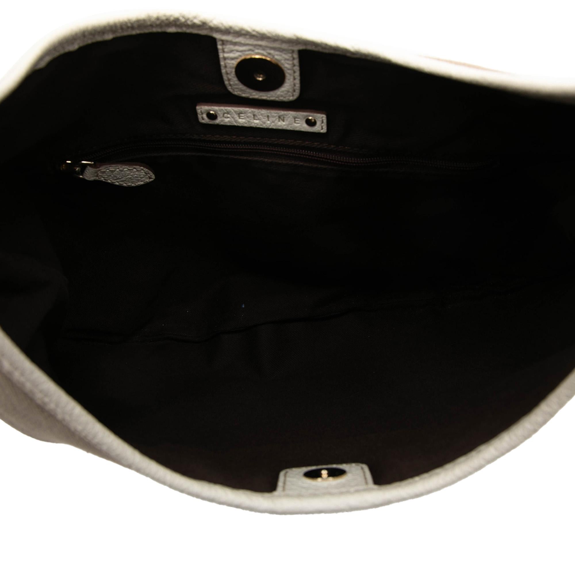 Celine Canvas Turtle Hobo