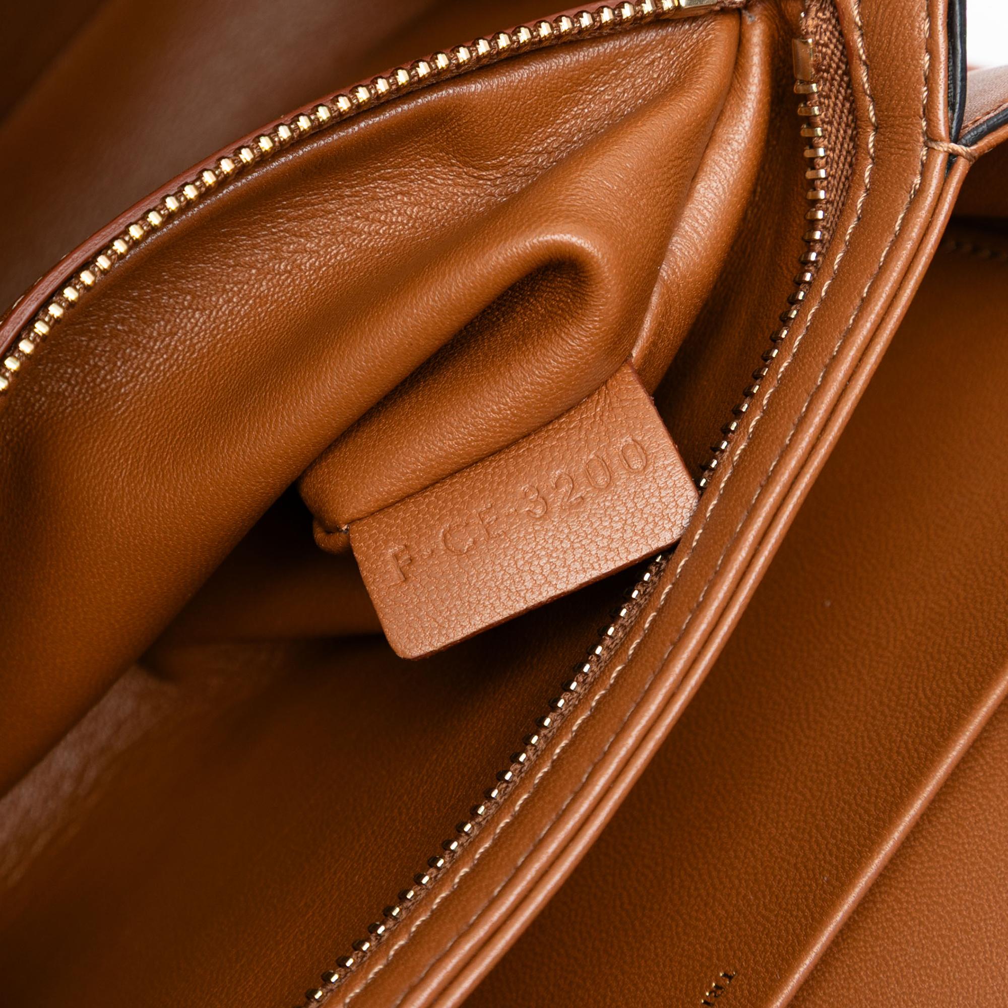 Celine Classique Canvas and Calfskin Triomphe Crossbody
