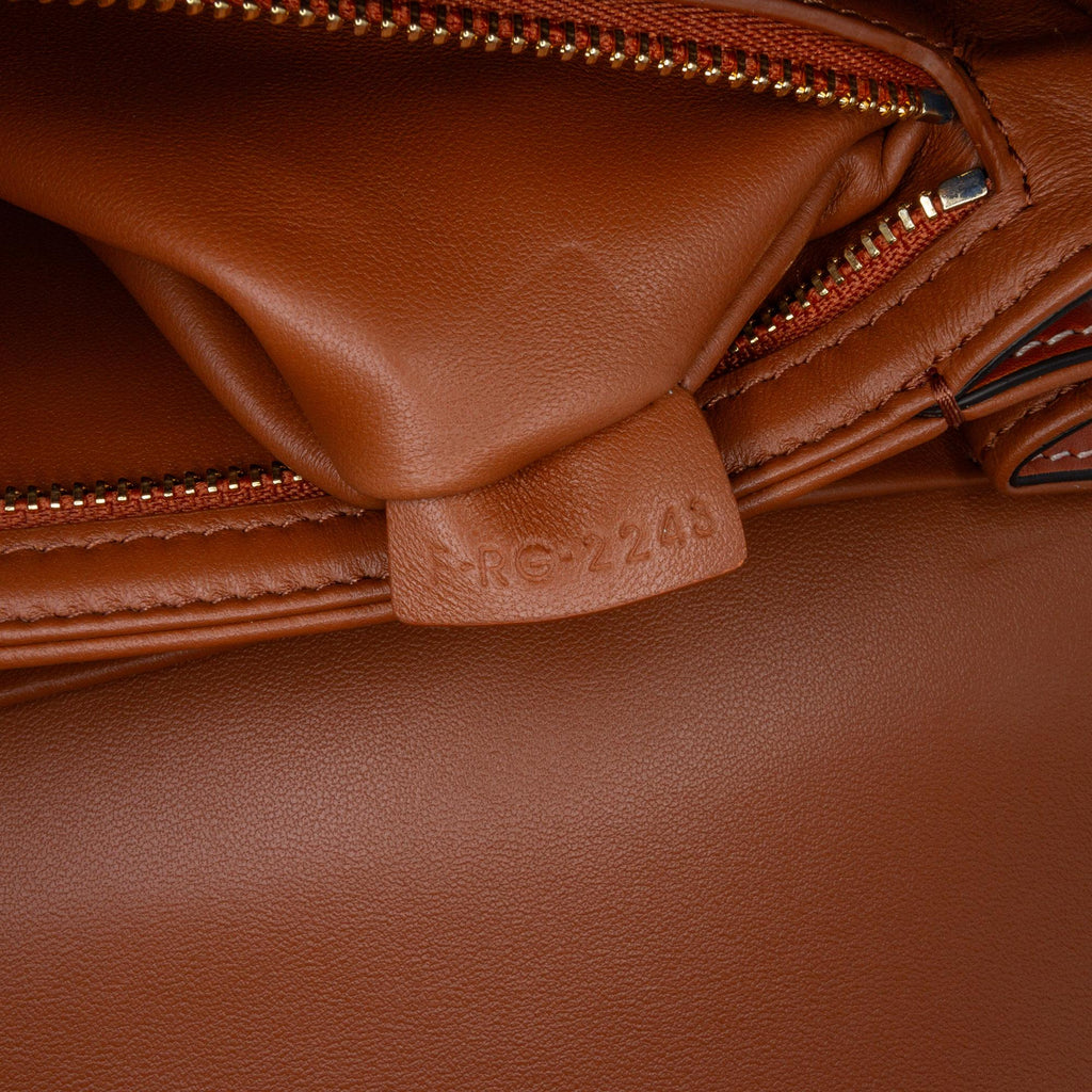 Celine Classique Shiny Calfskin Triomphe Crossbody (SHG-tC2vNF)