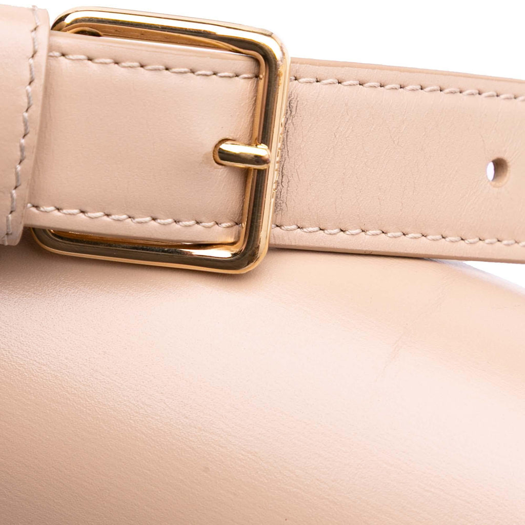 Celine Classique Shiny Calfskin Triomphe Crossbody