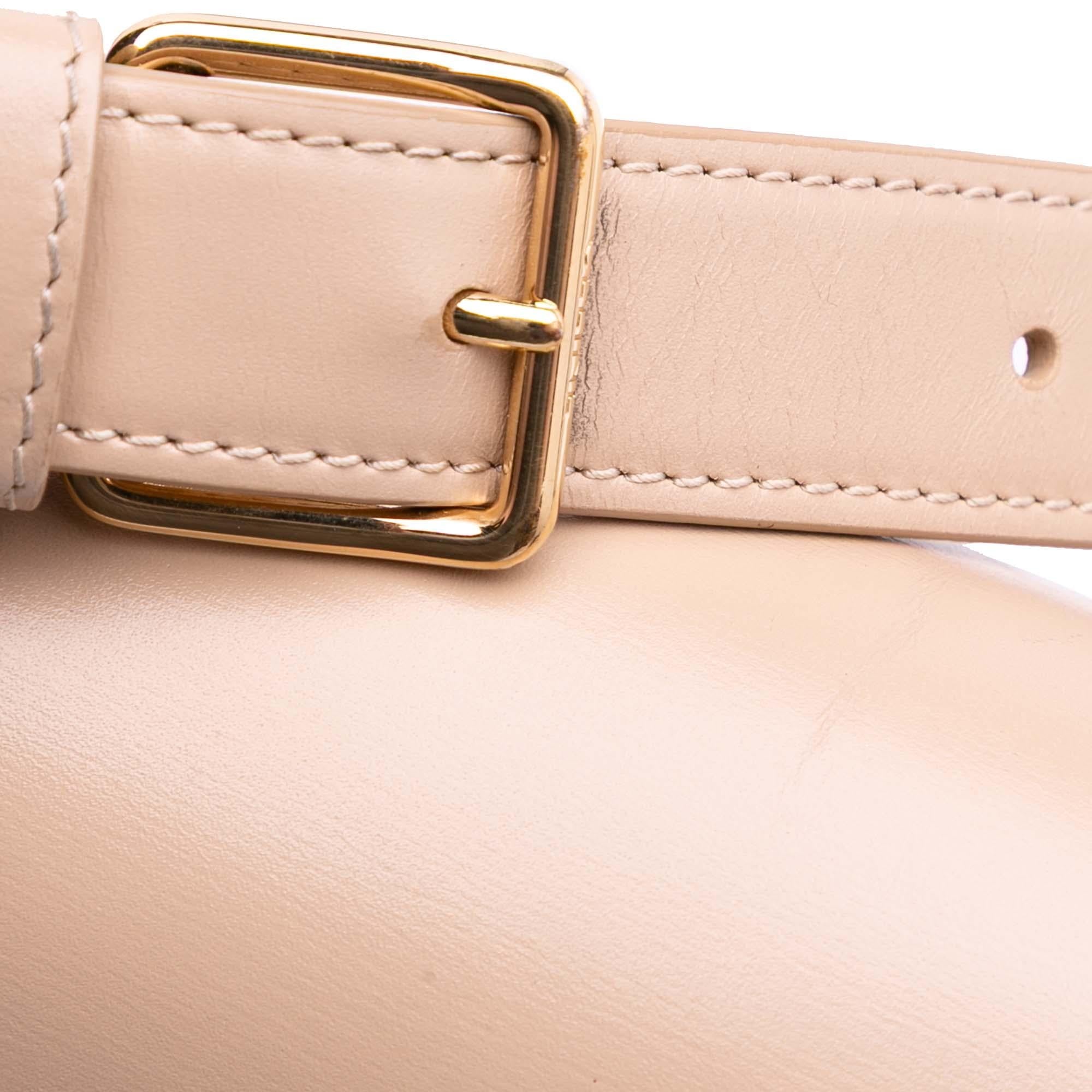 Celine Classique Shiny Calfskin Triomphe Crossbody