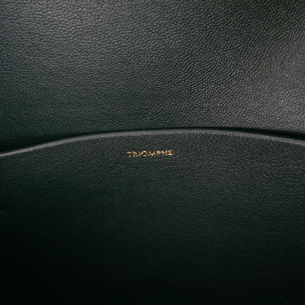 Celine Classique Shiny Calfskin Triomphe Crossbody