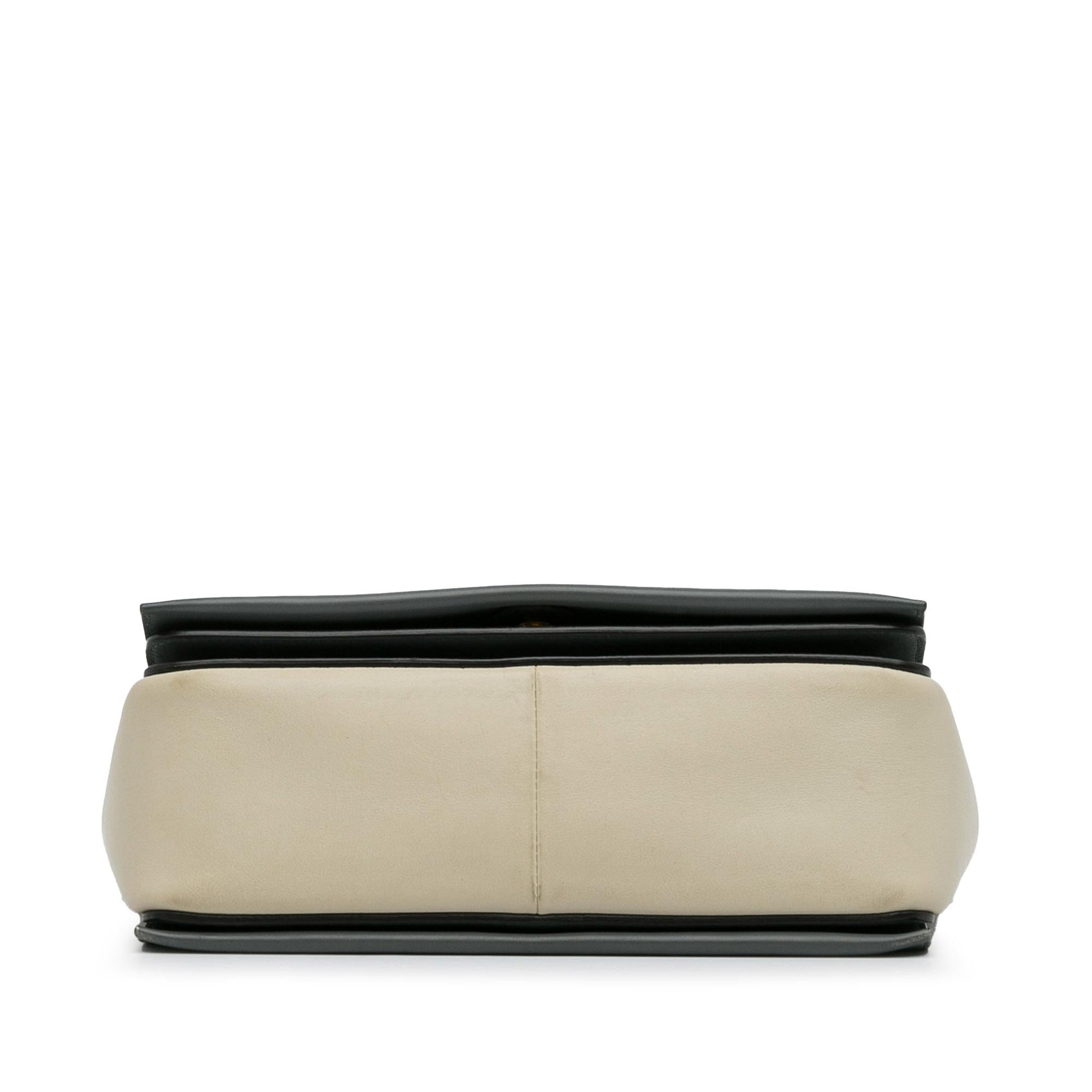 Celine Frame Shoulder Bag (SHG-wSQihg)