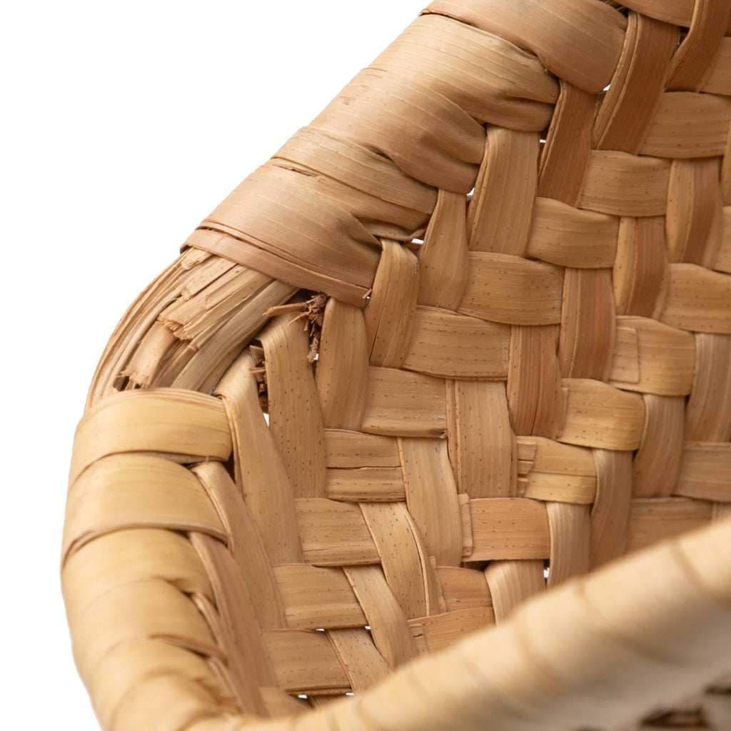 Celine Large Raffia Cuir Triomphe Classic Panier Tote
