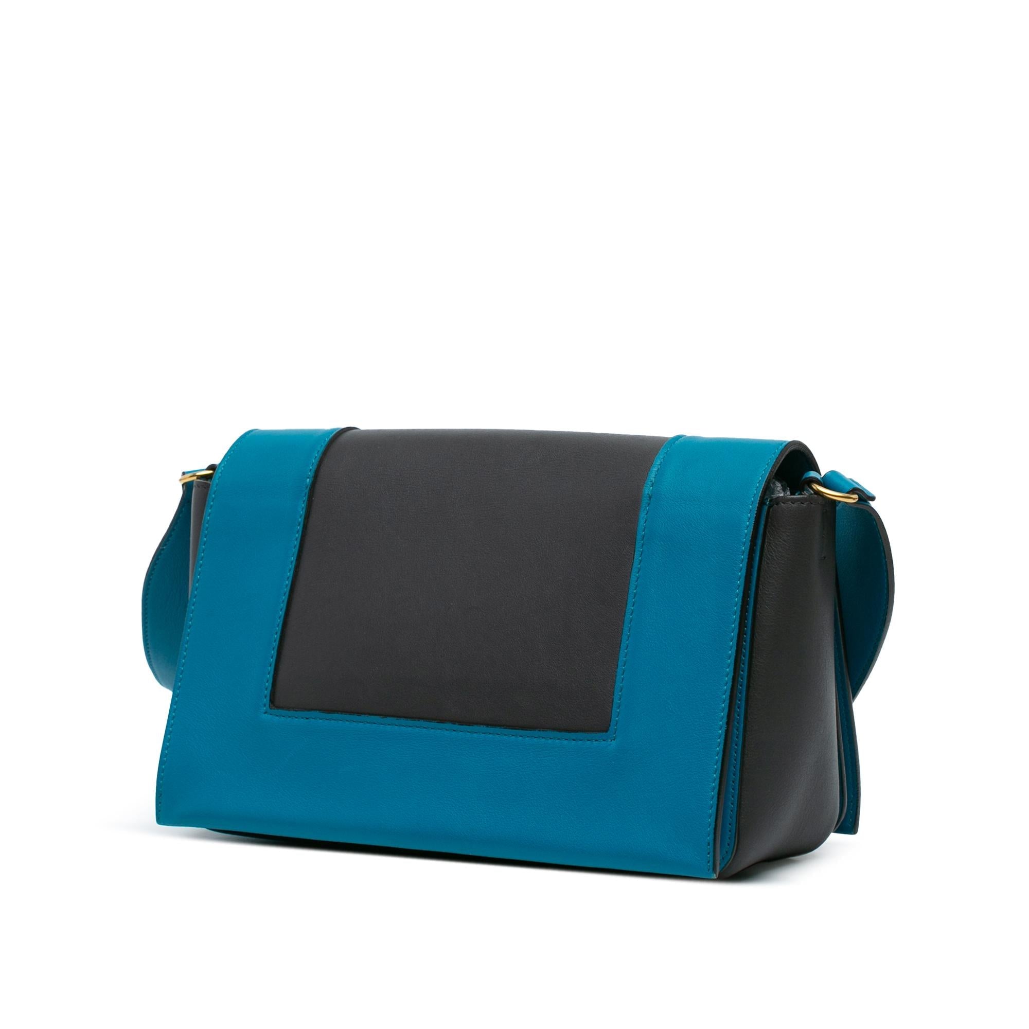 Celine Leather Frame Shoulder Bag