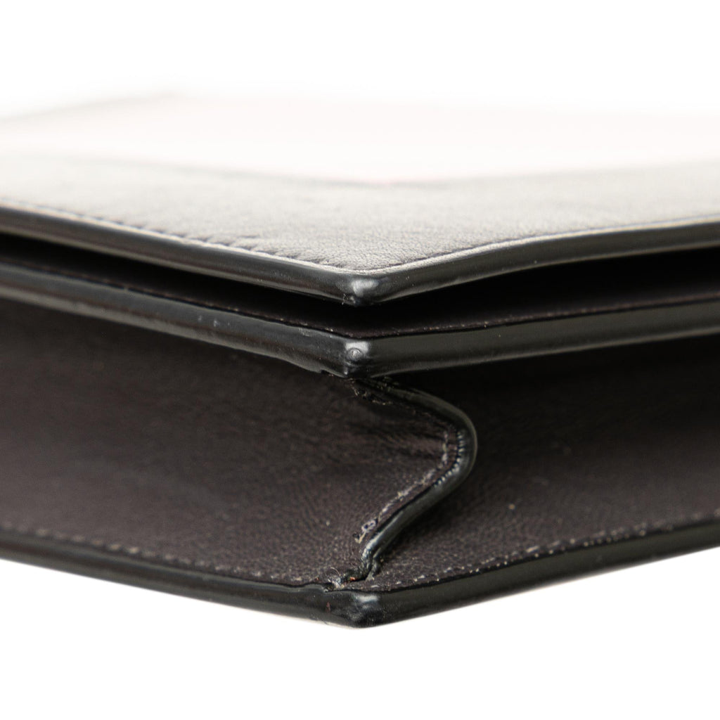 Celine Leather Frame Wallet on Chain