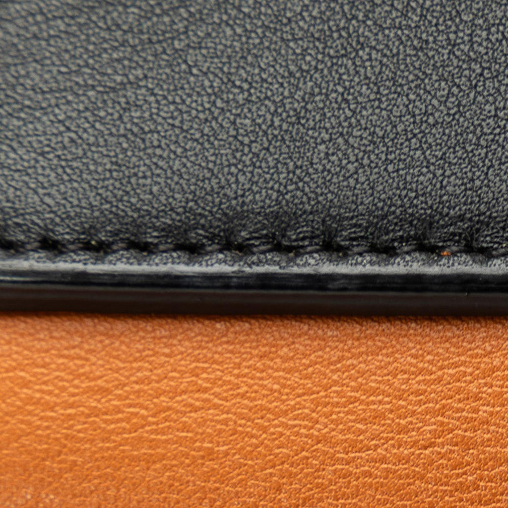 Celine MIni Bicolor Belt Bag