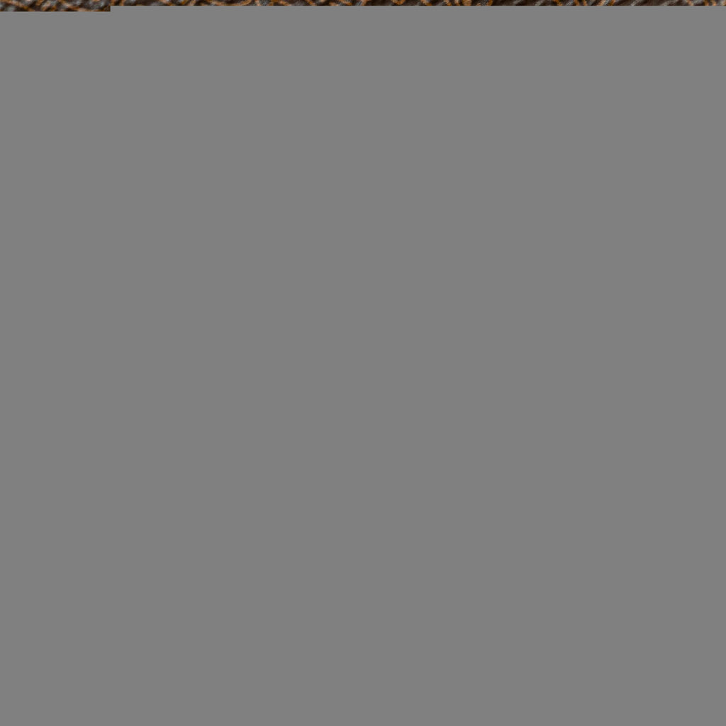 Celine Macadam Coated Canvas Crossbody