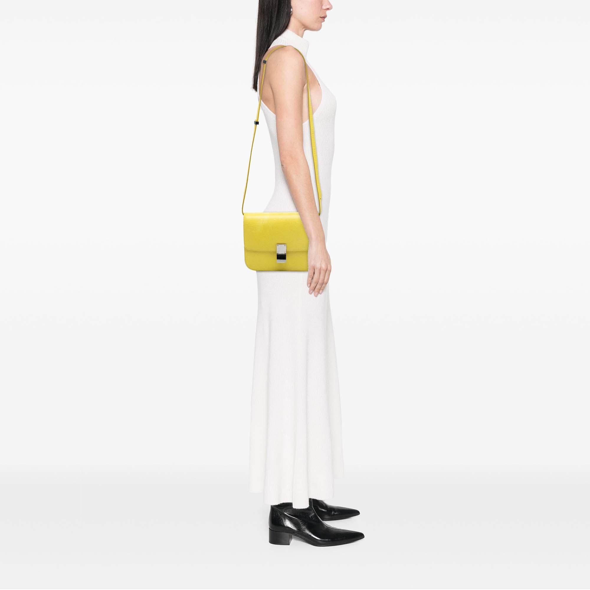 Celine Medium Calfskin Classic Box
