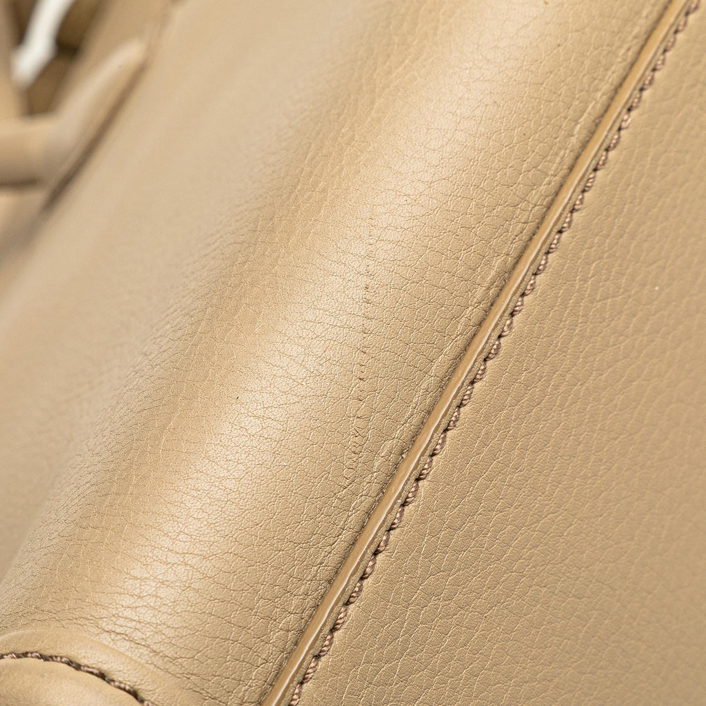 Celine Medium Luggage Leather Phantom Tote