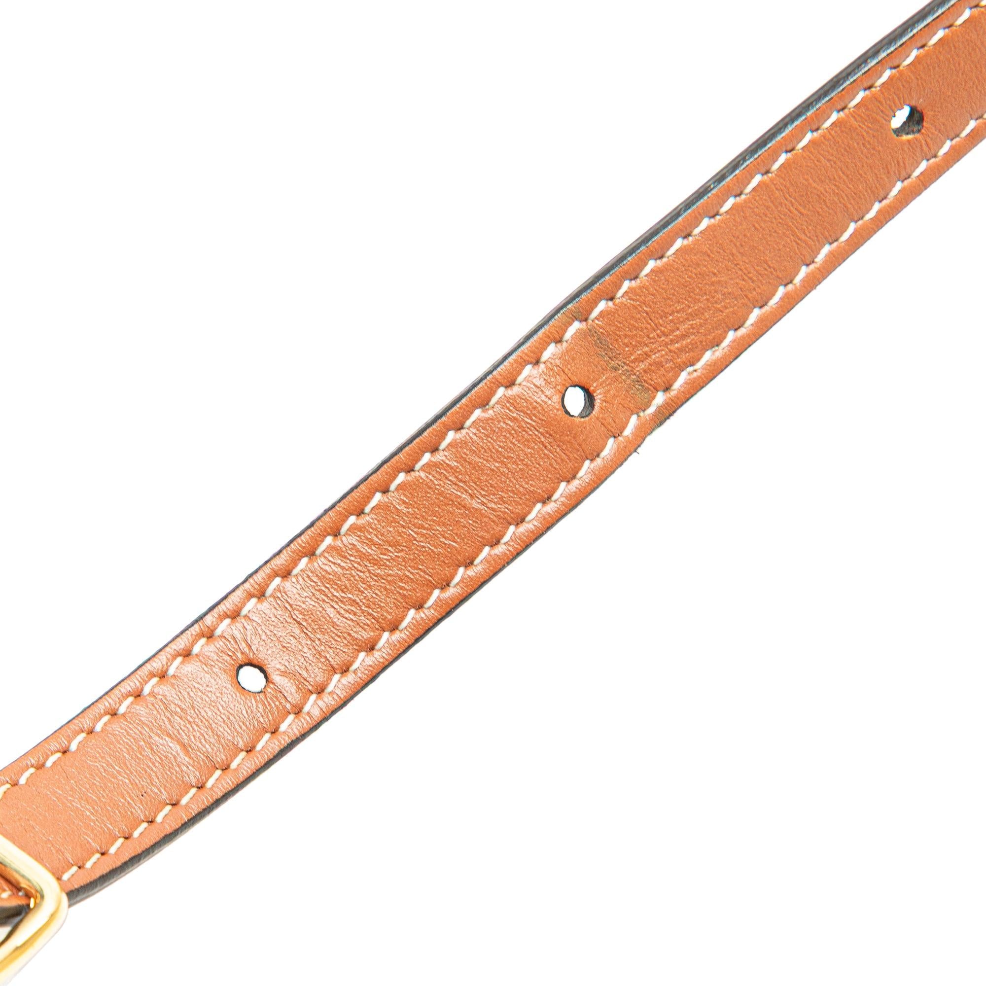 Celine Medium Triomphe Coated Canvas Tambour Crossbody