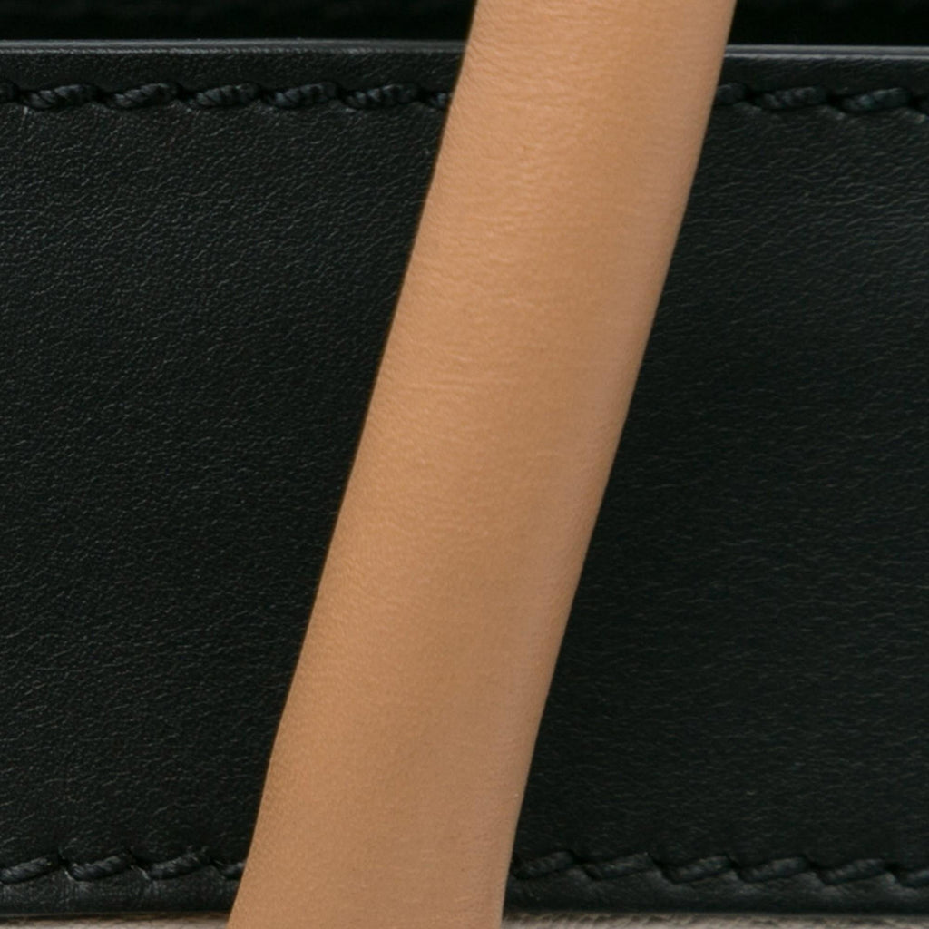 Celine Micro Tricolor Luggage Tote (SHG-VCdAy0)