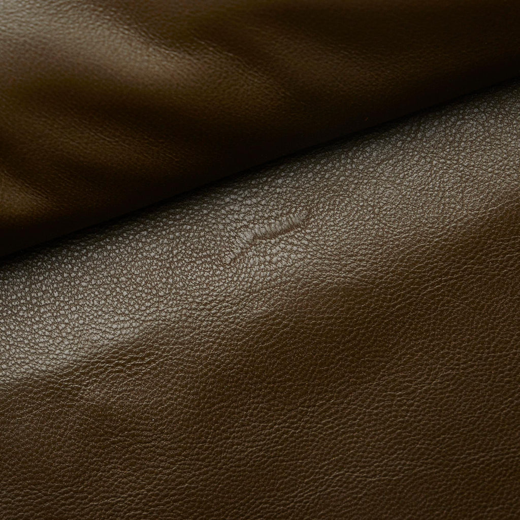 Celine Mini Luggage Tote (SHG-5Annei)