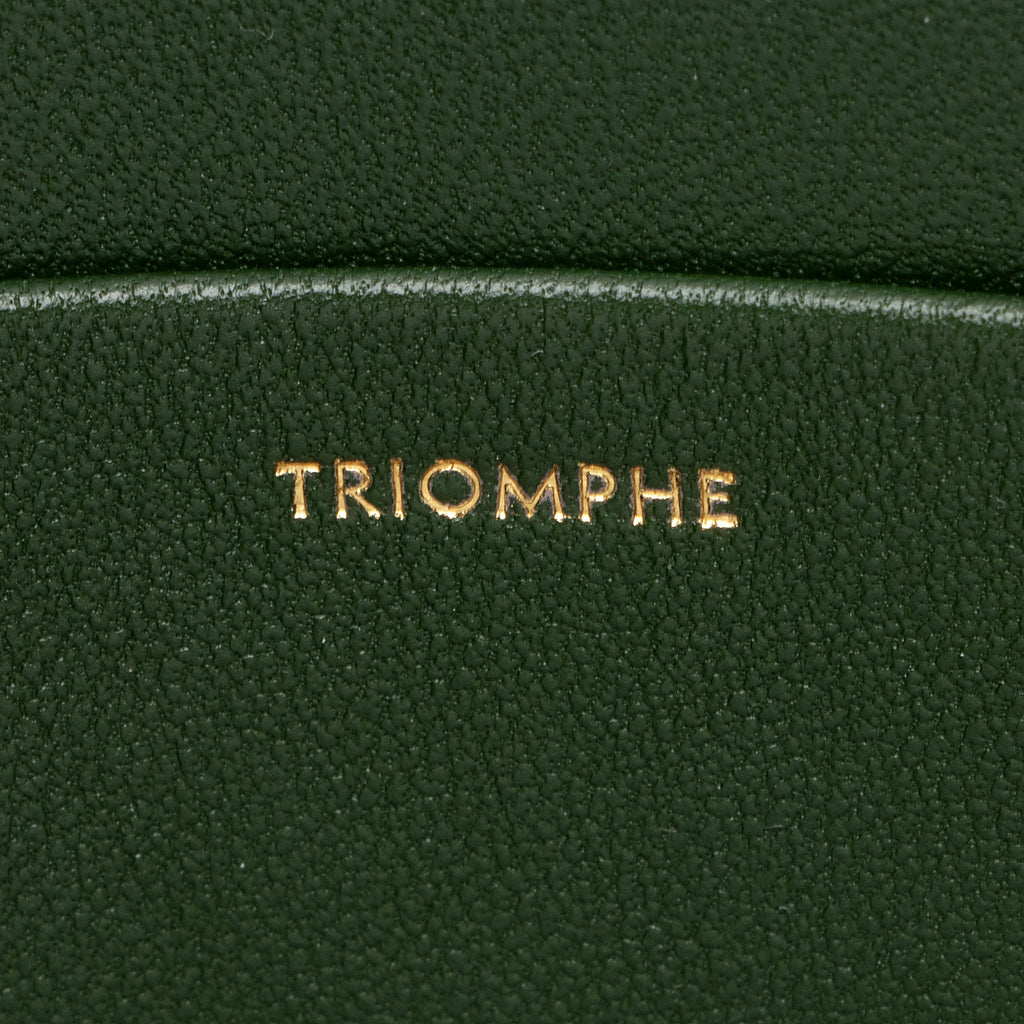 Celine Shiny Calfskin Triomphe Classique Shoulder Bag