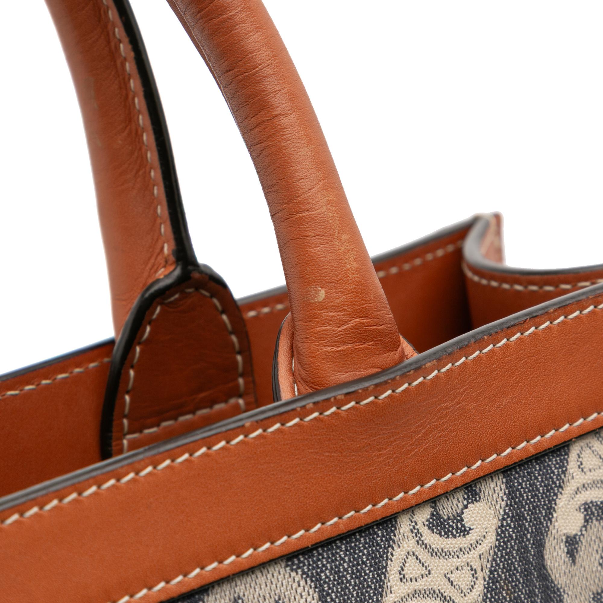 Celine Small Triomphe Canvas Maillon Vertical Cabas Satchel