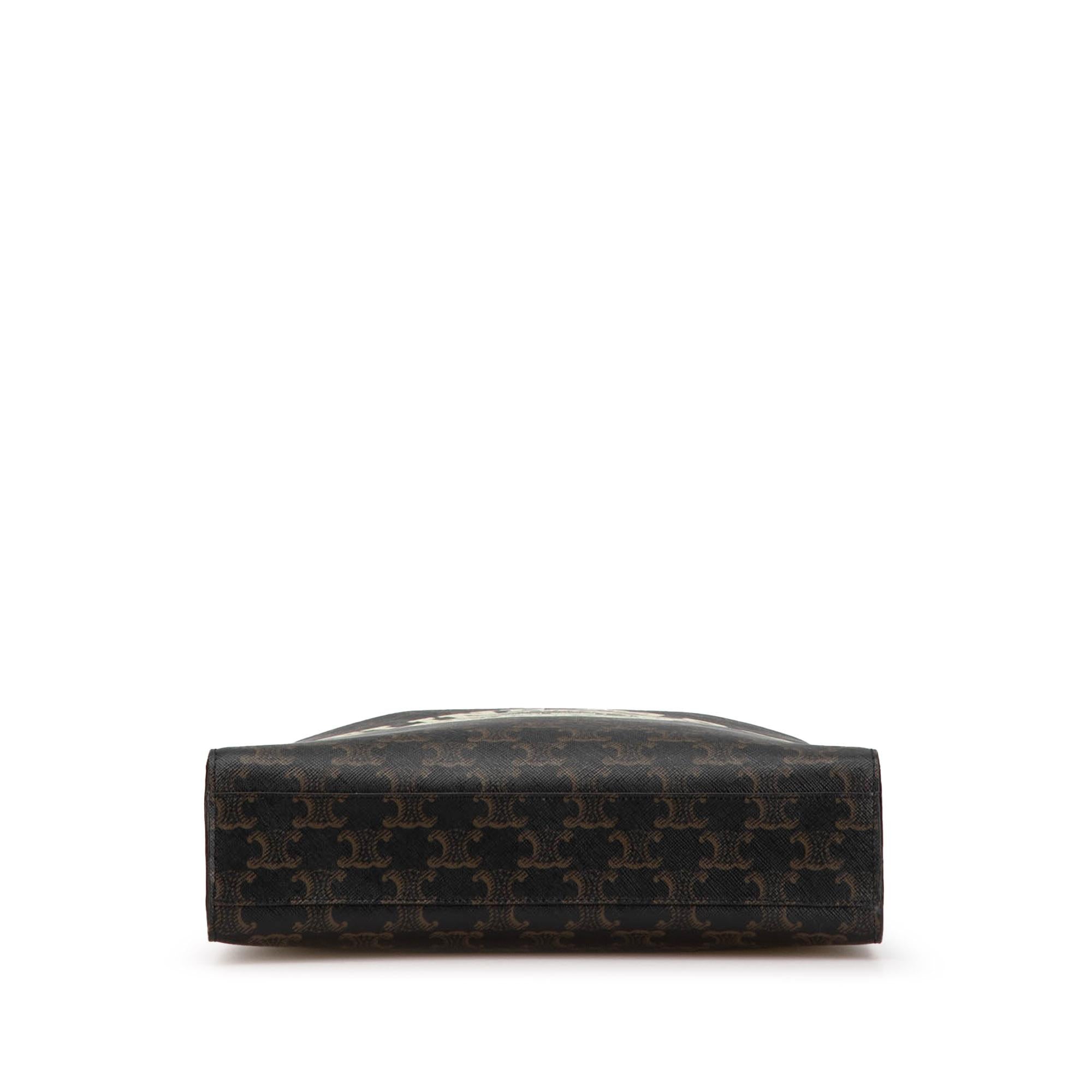 Celine Small Triomphe Coated Canvas Paris Print Vertical Cabas