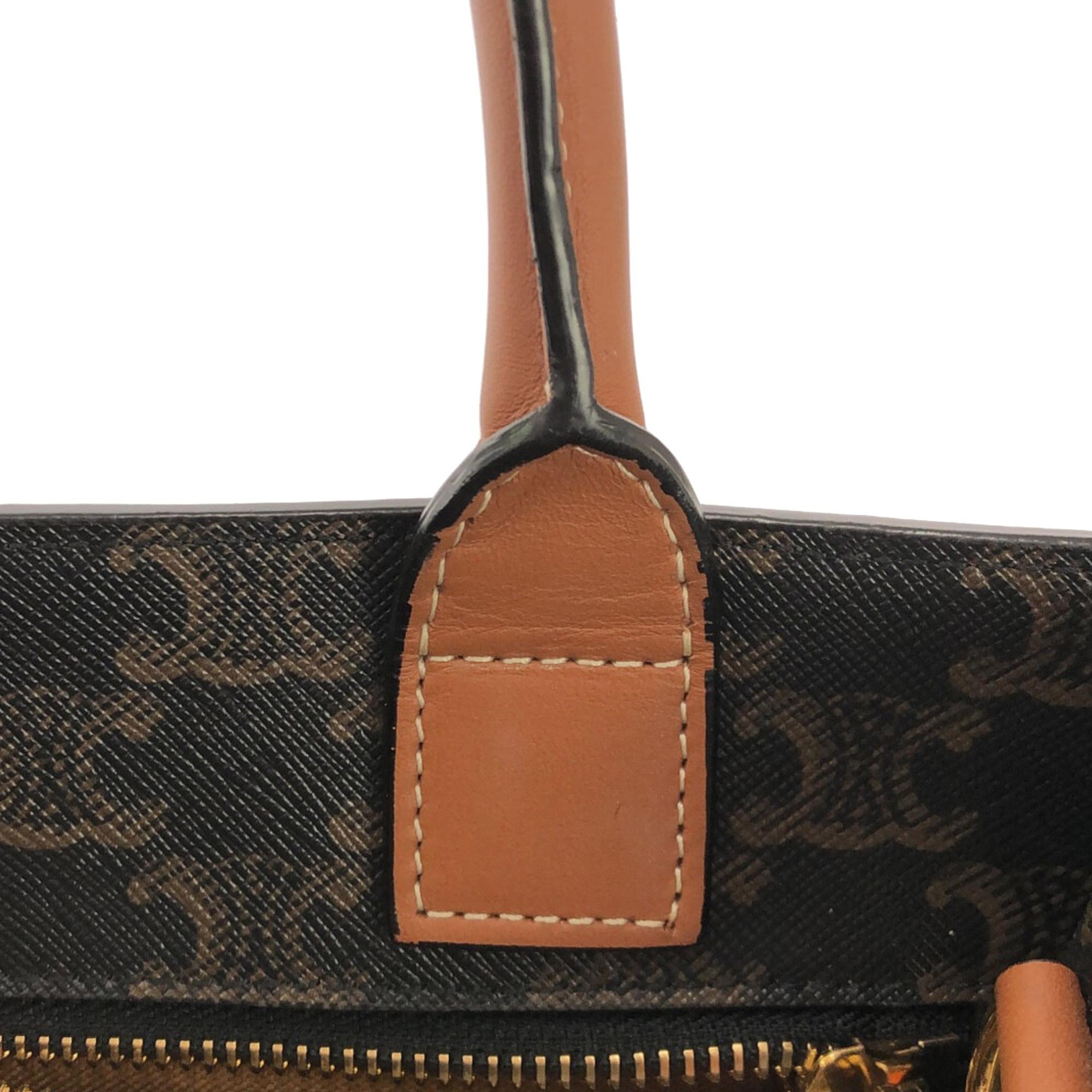 Celine Small Triomphe Vertical Cabas (SHG-M7BcMV)
