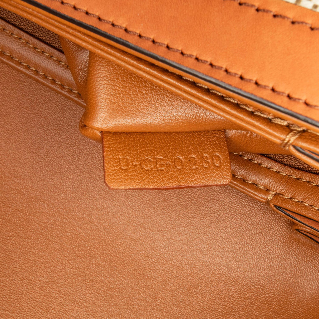 Celine Teen Canvas Triomphe Crossbody