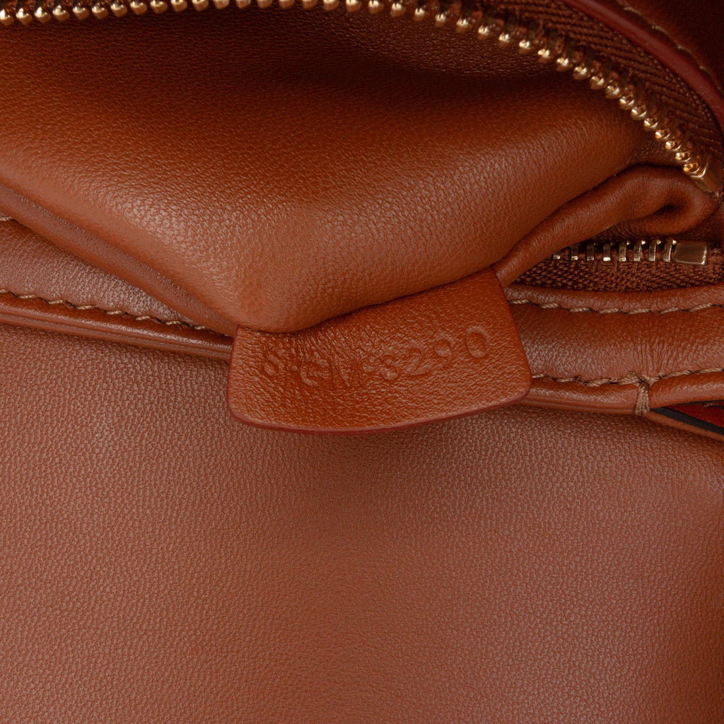 Celine Teen Canvas and Calfskin Triomphe Crossbody