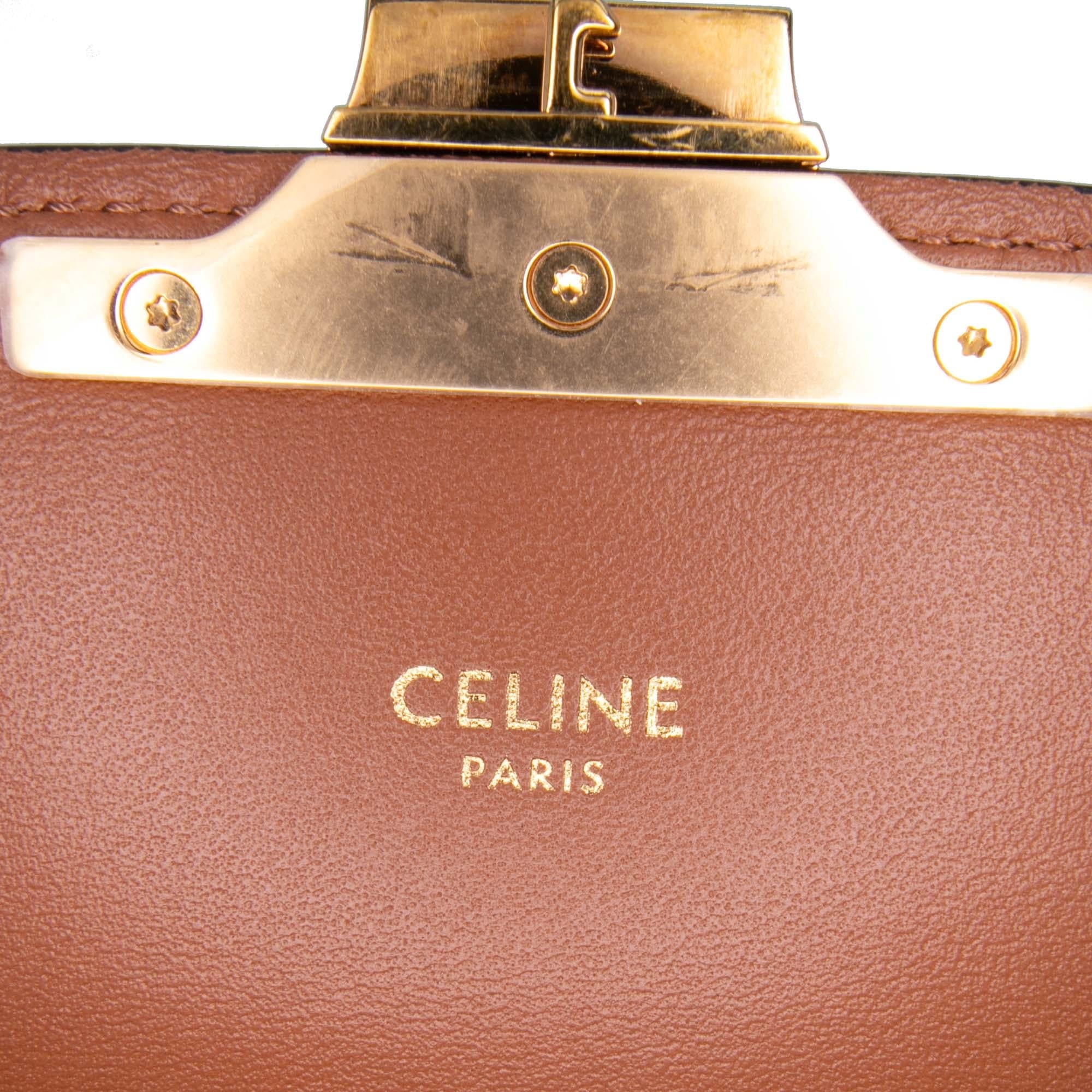 Celine Teen Triomphe Coated Canvas and Calfskin Triomphe Crossbody