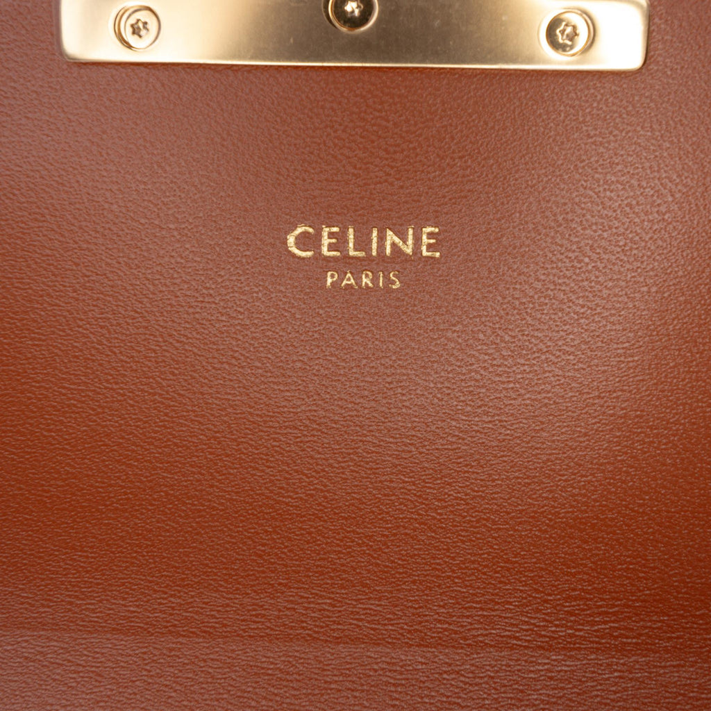 Celine Teen Triomphe Coated Canvas and Calfskin Triomphe Crossbody
