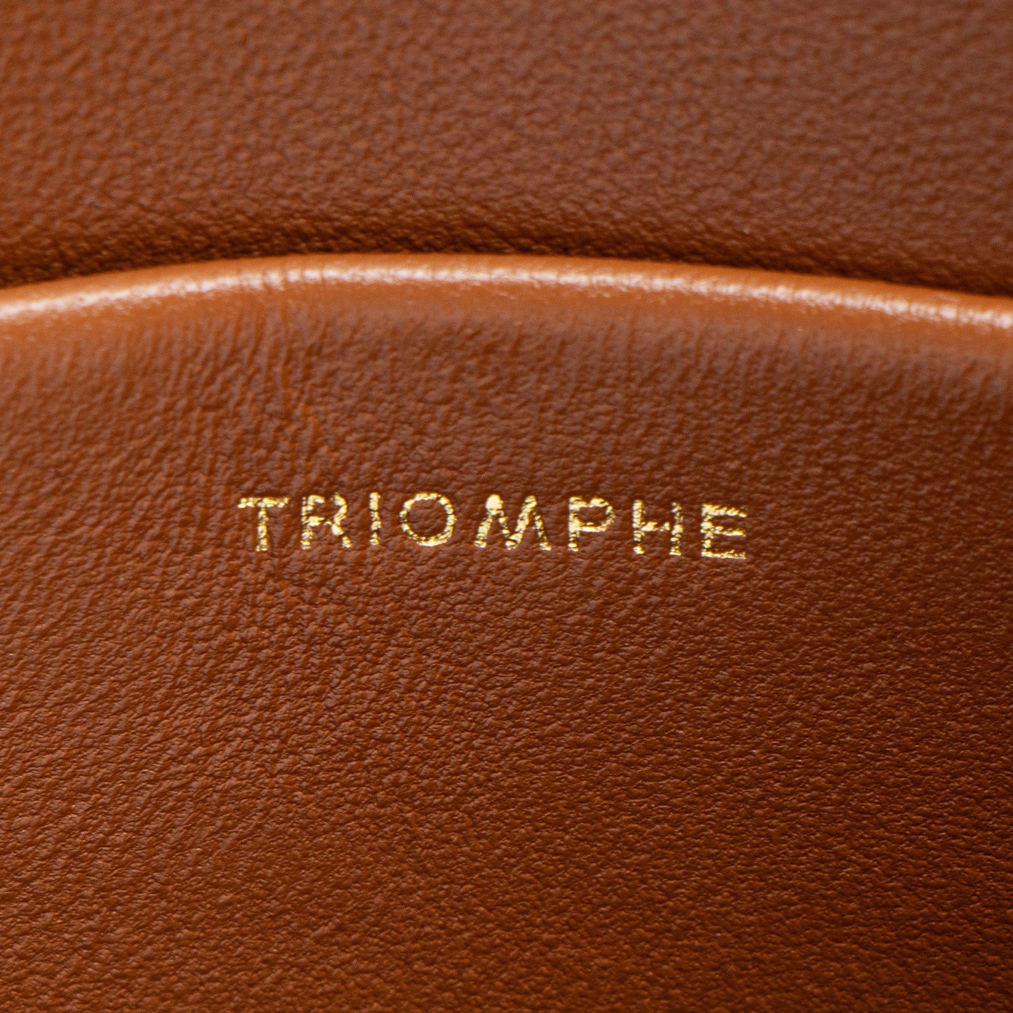 Celine Textile Calfskin Triomphe Teen Shoulder Bag (SHF-8LxhZM)