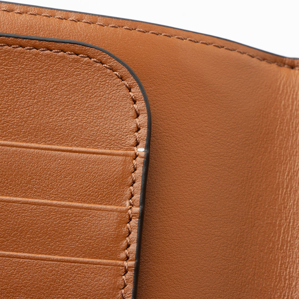 Celine Triomphe Canvas Passport Cover