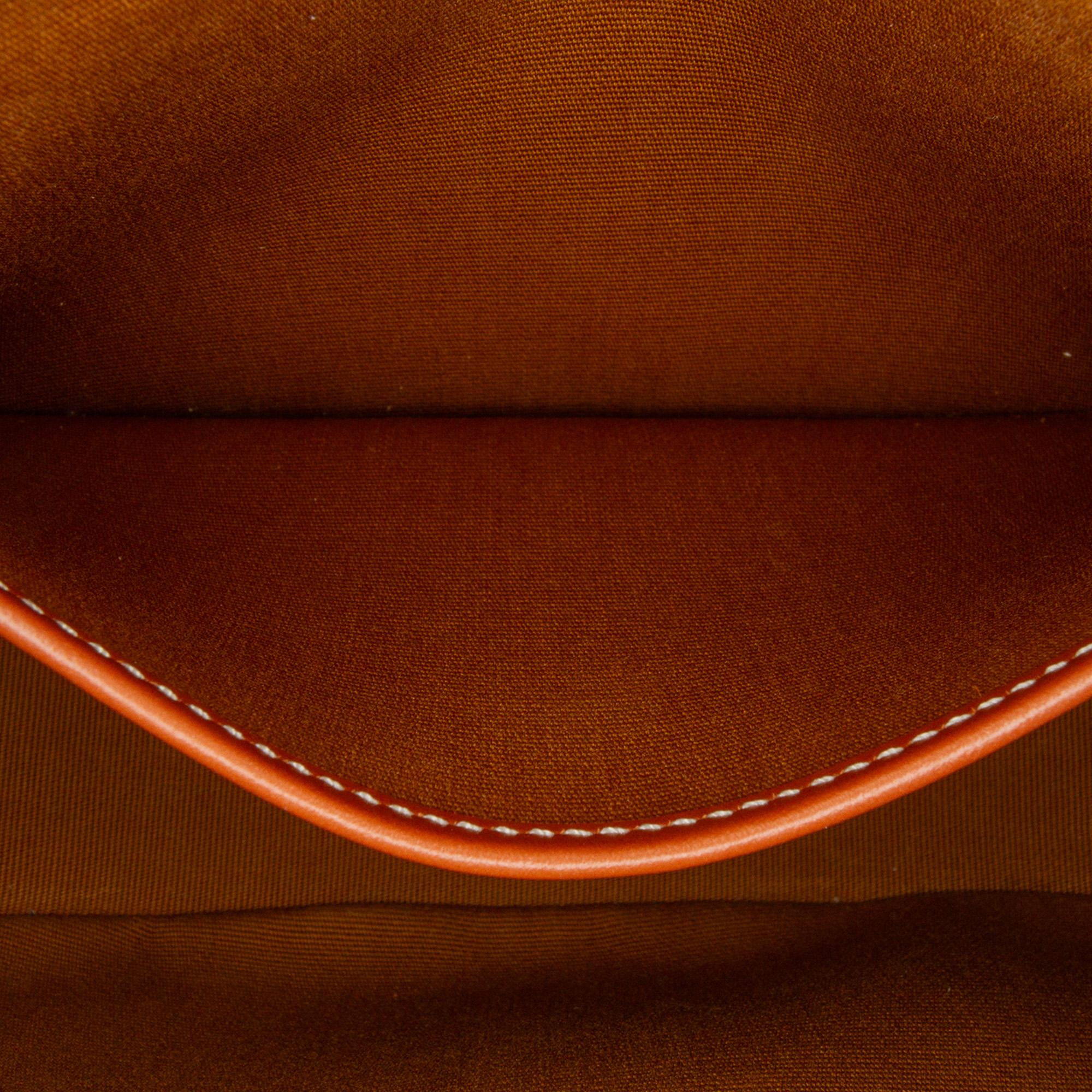 Celine Triomphe Coated Canvas Ava Shoulder Bag