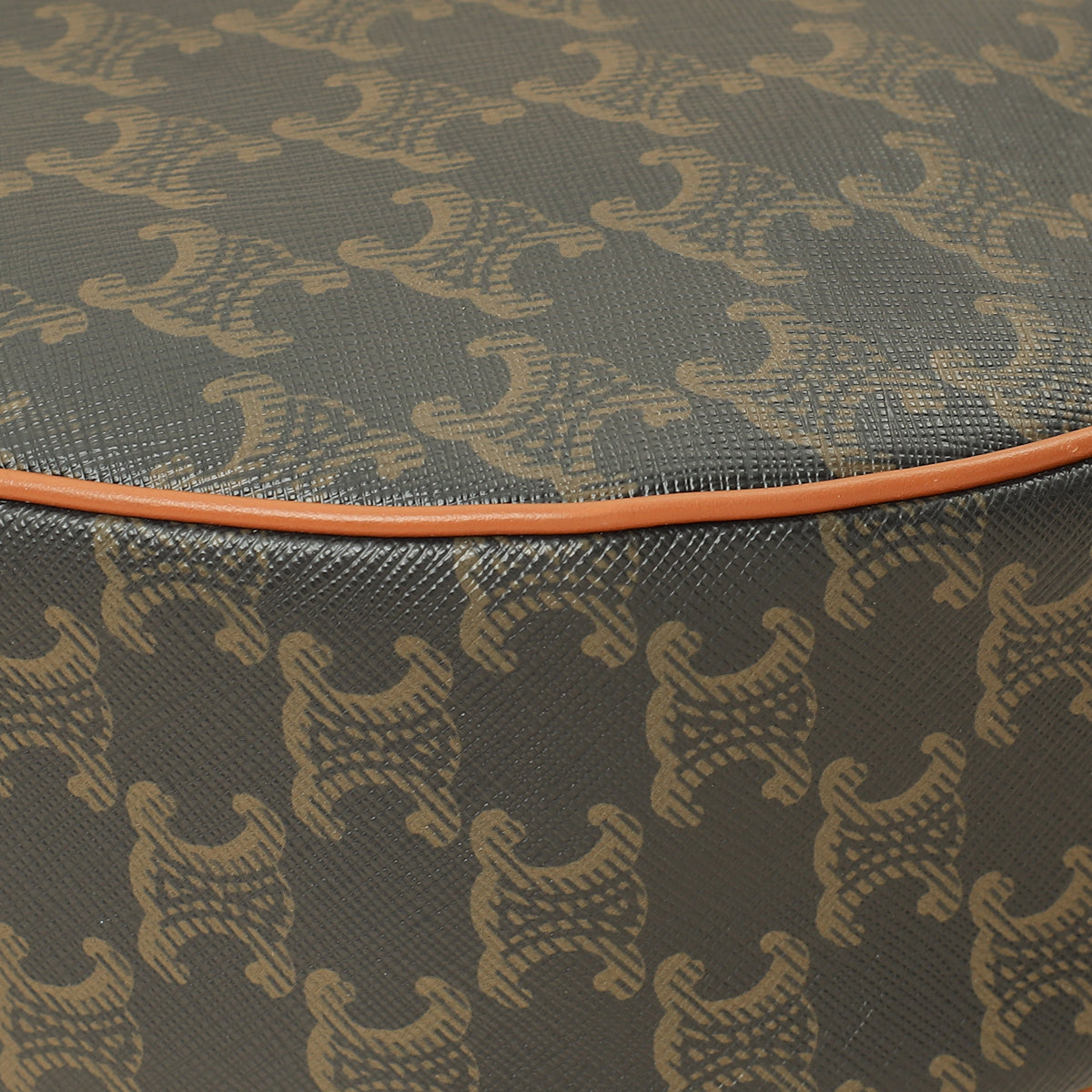 Celine Tan Triomphe Medium Heloise Bag