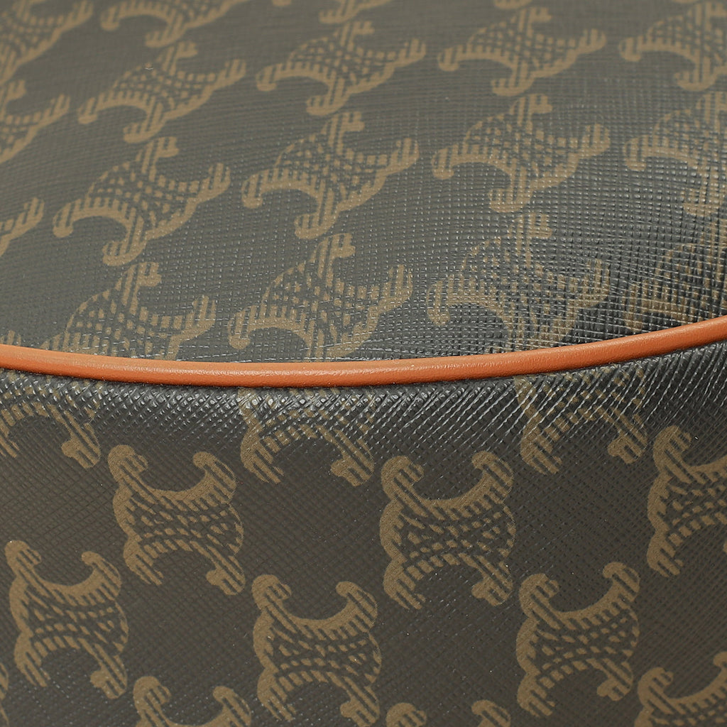 Celine Tan Triomphe Medium Heloise Bag