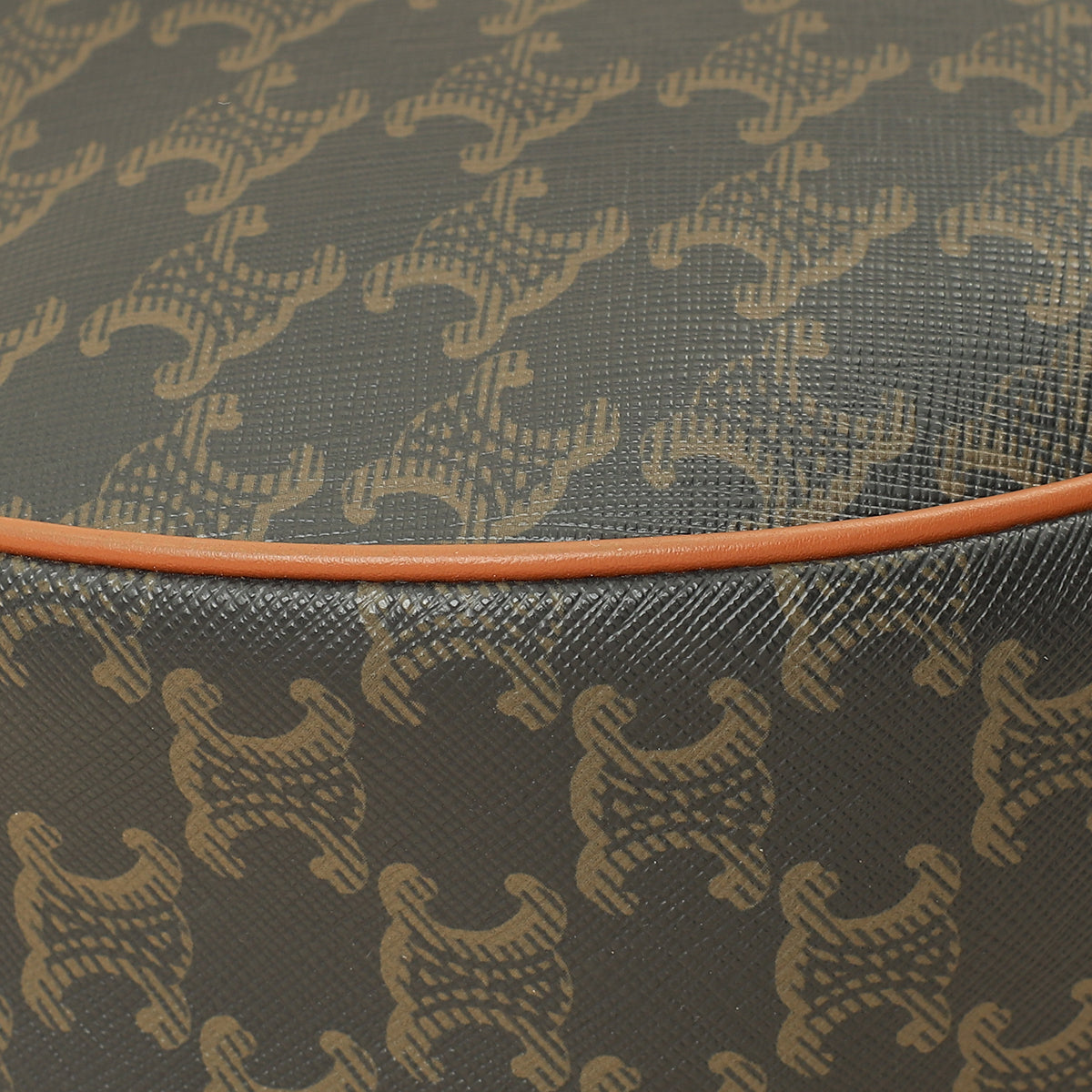 Celine Tan Triomphe Medium Heloise Bag