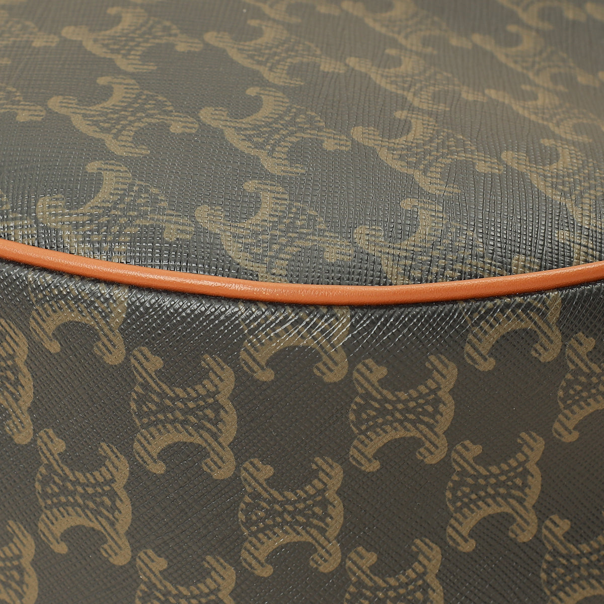 Celine Tan Triomphe Medium Heloise Bag