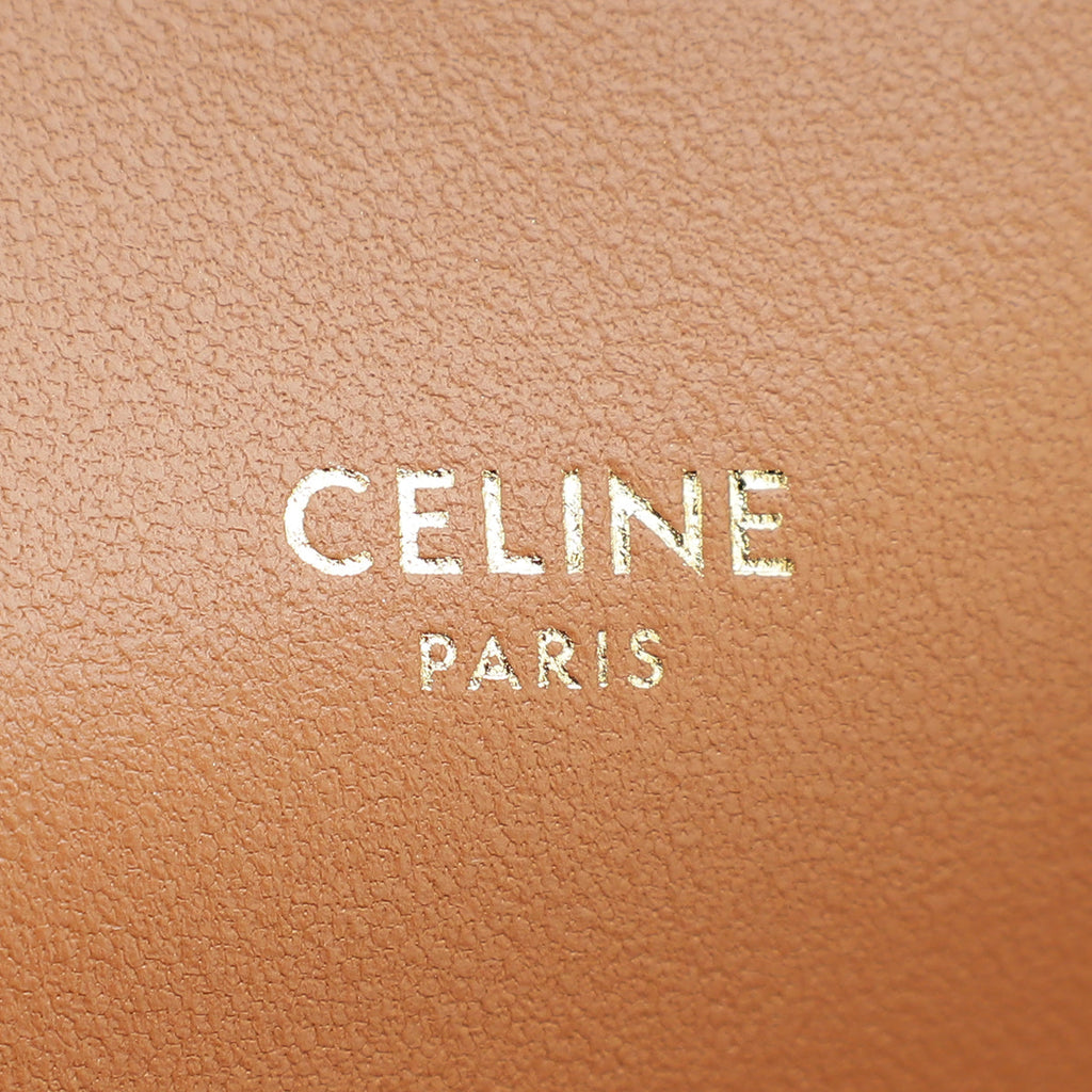 Celine Tricolor Teen Triomphe Flap Shoulder Bag