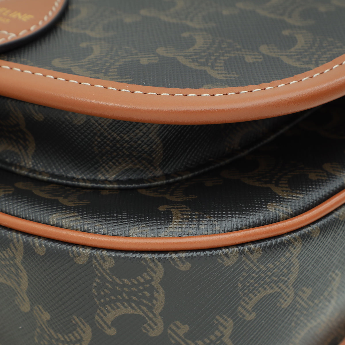 Celine Tricolor Medium Triomphe Folco Bag