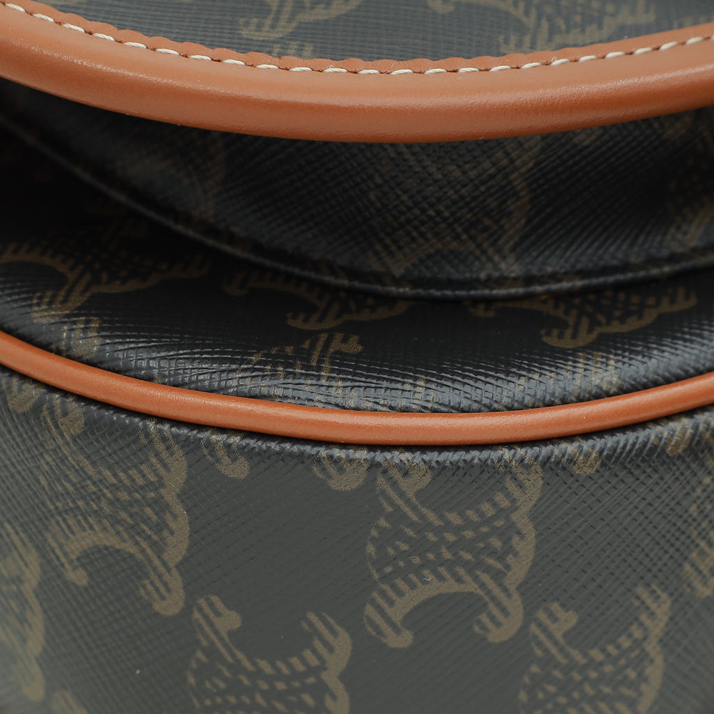 Celine Tricolor Medium Triomphe Folco Bag