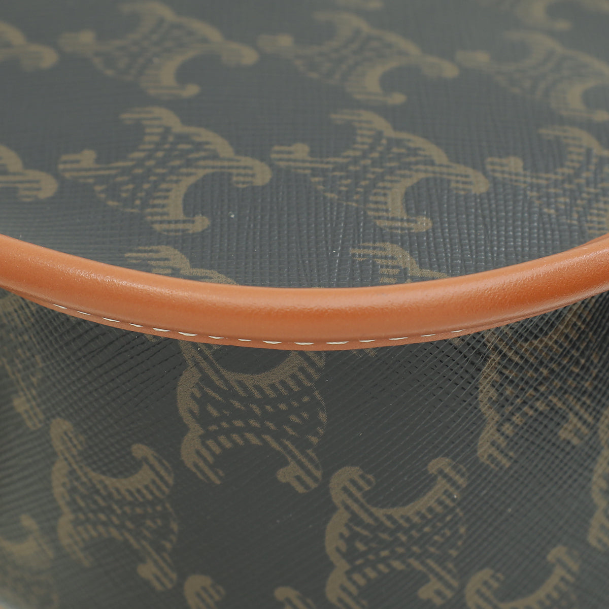 Celine Tricolor Medium Triomphe Folco Bag