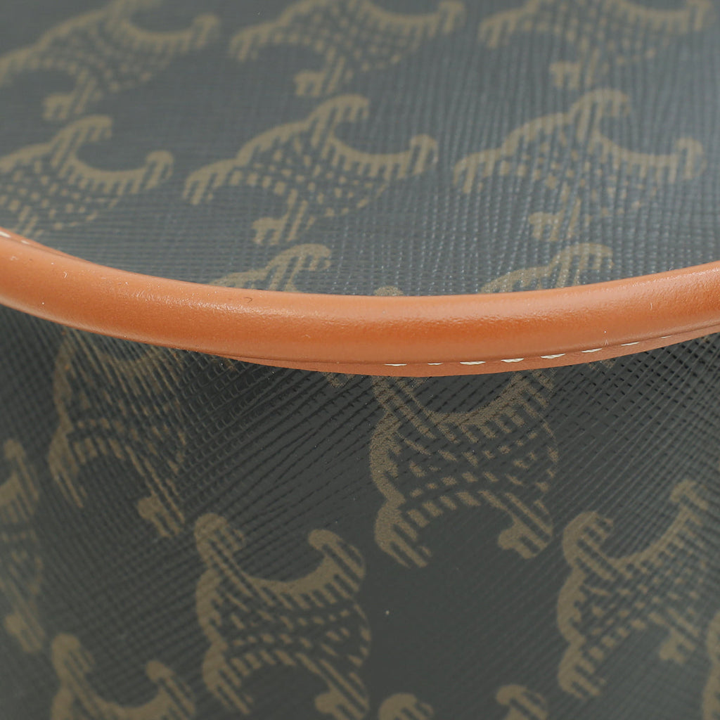 Celine Tricolor Medium Triomphe Folco Bag