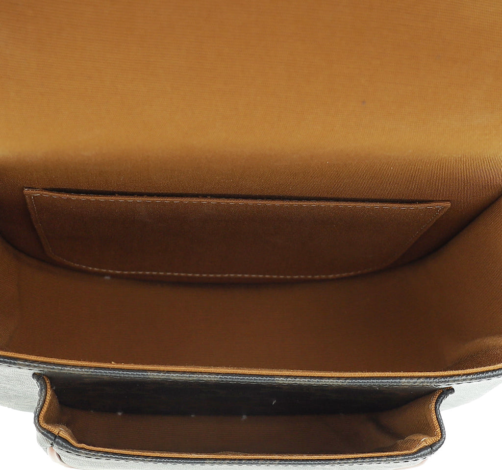 Celine Tricolor Medium Triomphe Folco Bag