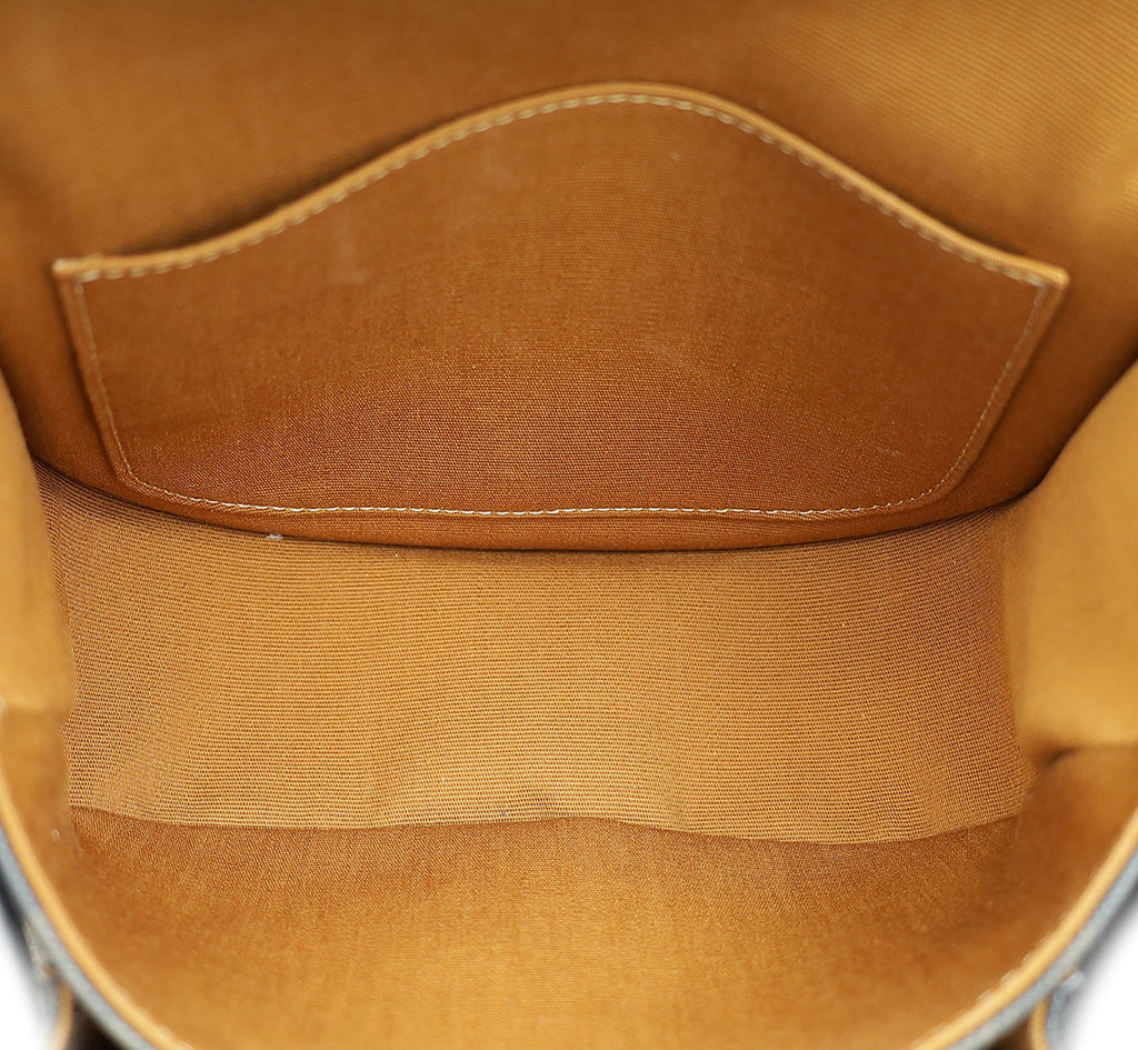 Celine Tricolor Medium Triomphe Folco Bag