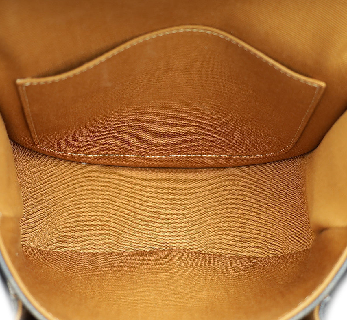 Celine Tricolor Medium Triomphe Folco Bag