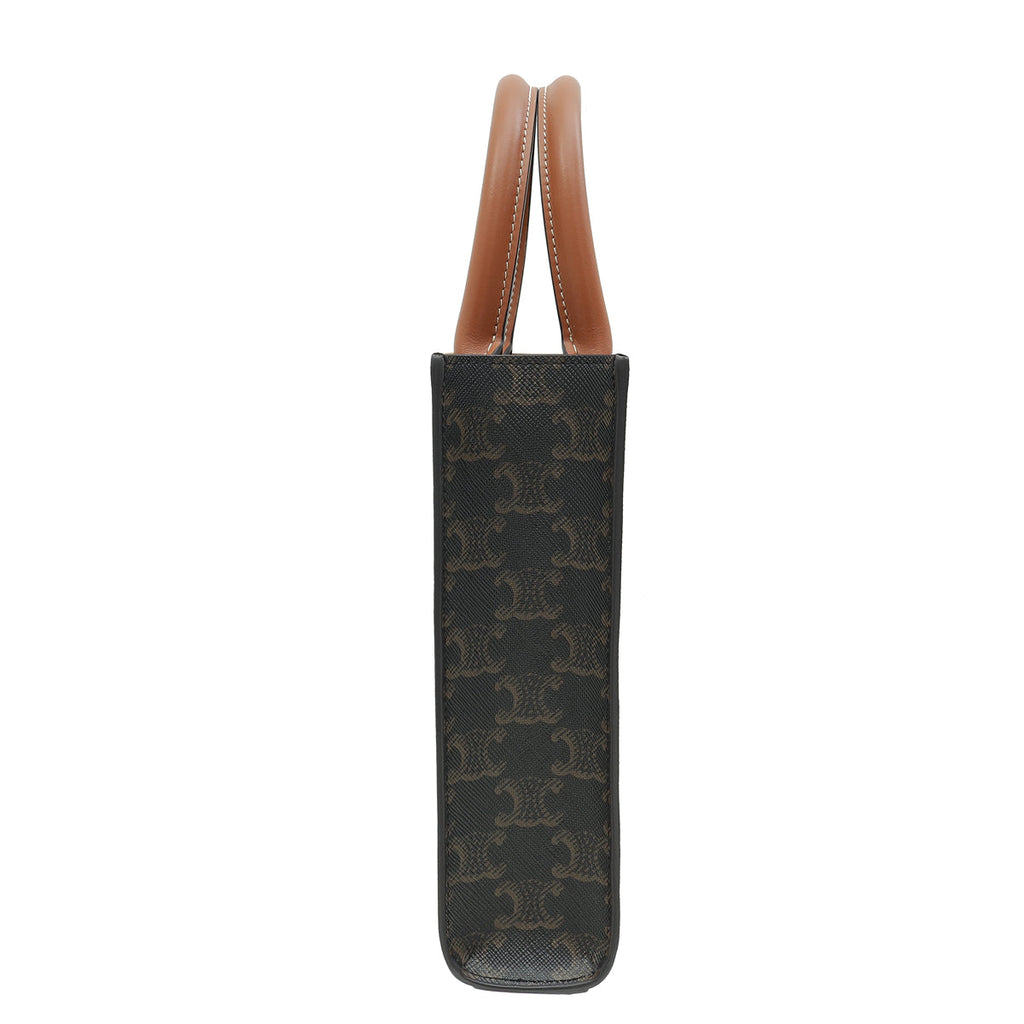 Celine Tricolor Triomphe Mini Vertical Cabas Bag