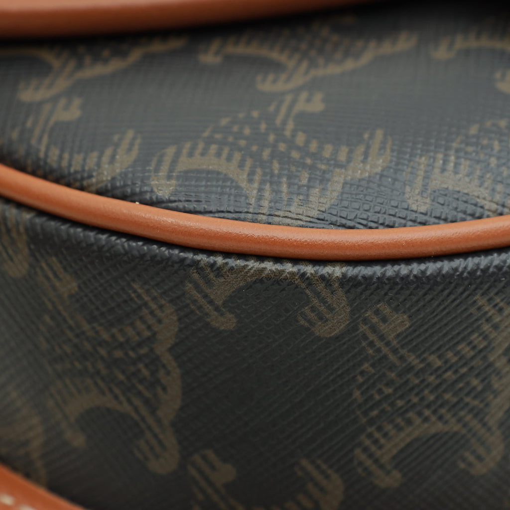 Celine Tricolor Mini Besace in Triomphe Crossbody Bag