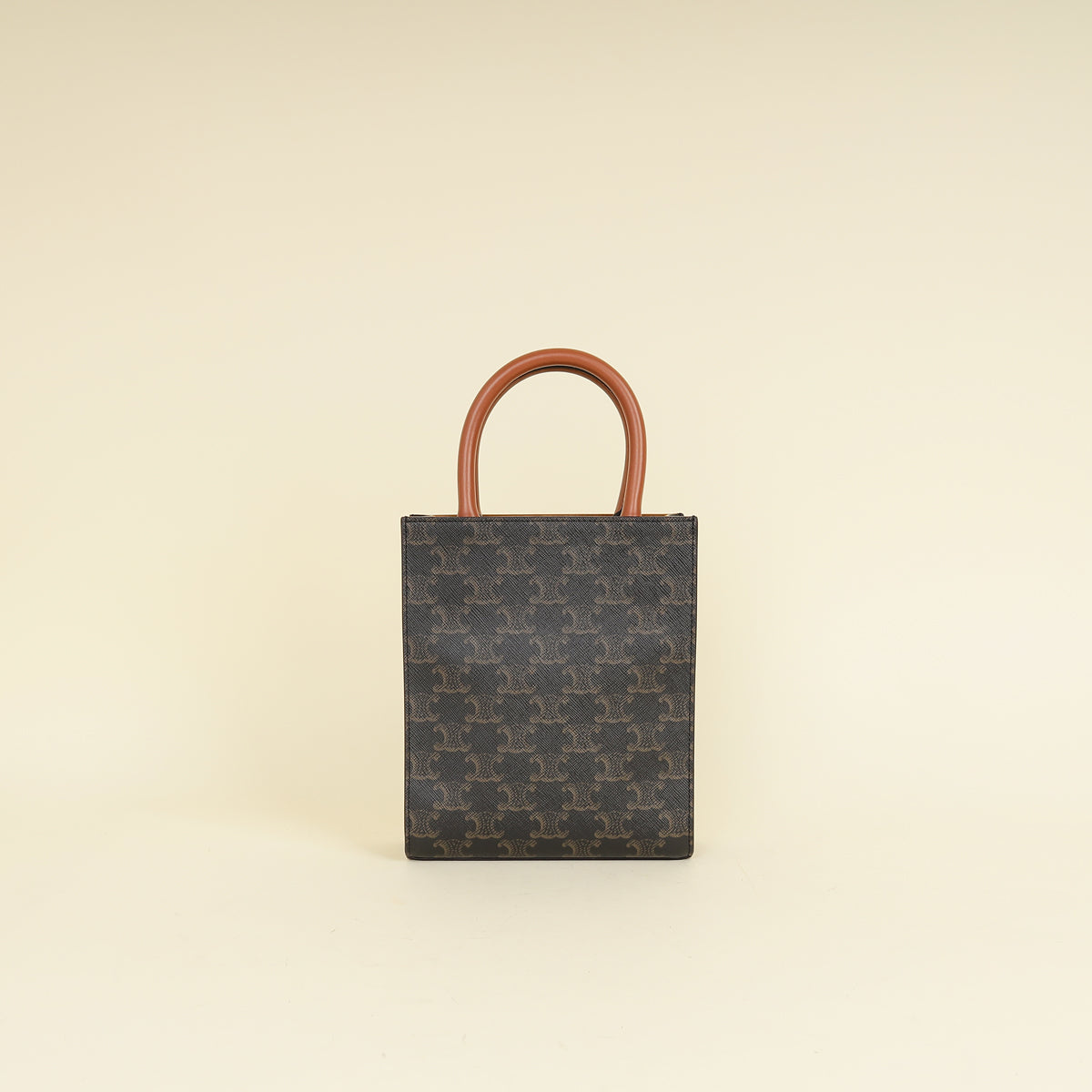Celine Tricolor Triomphe Mini Vertical Cabas Bag