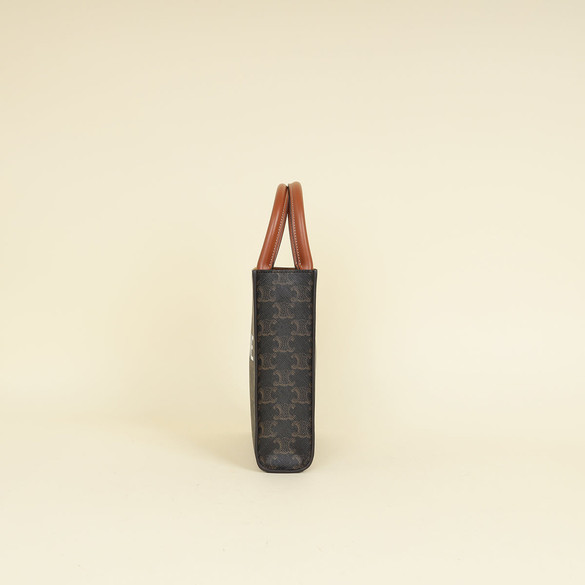 Celine Tricolor Triomphe Mini Vertical Cabas Bag