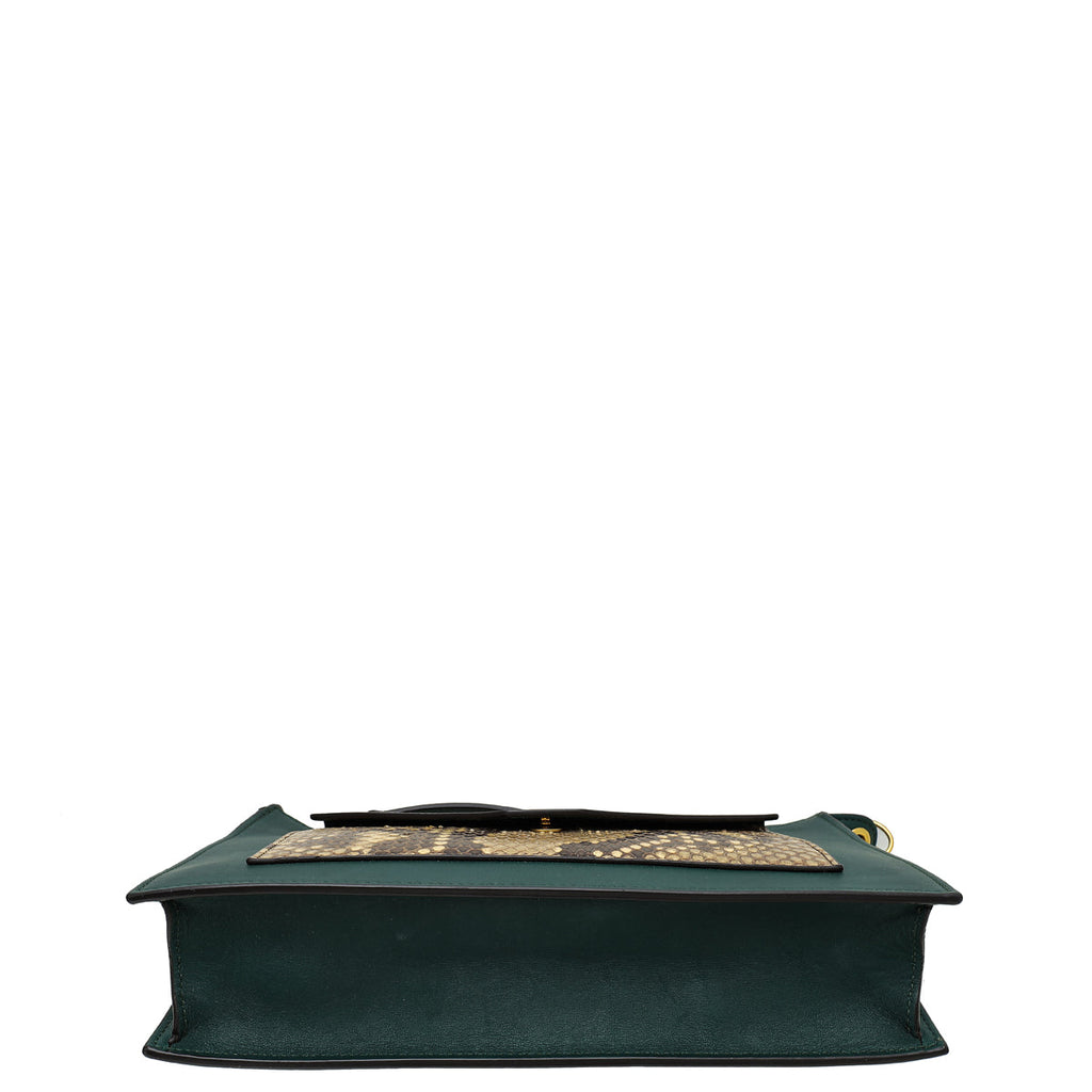Celine Tricoloe Envelope Python Chain Pouch